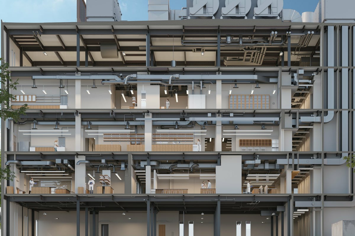 MEP Building Engineering | RMF Engineering